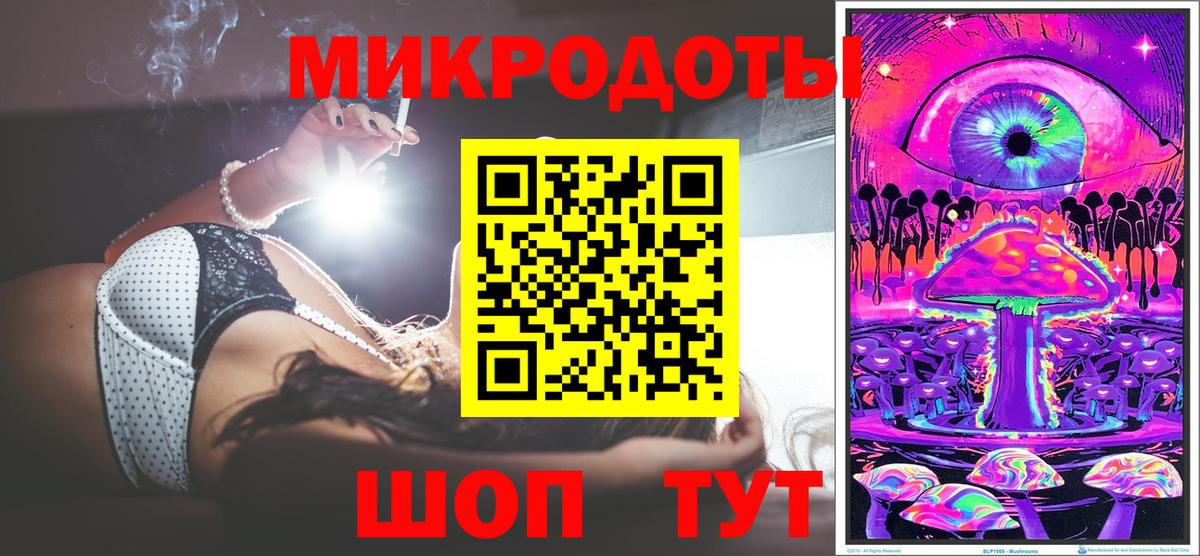 Галлюциногенные грибы Psilocybe Москва